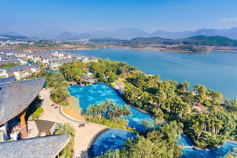 20200722230812204298