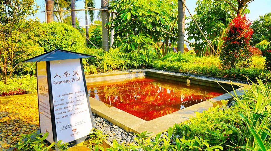 20200722230833191442