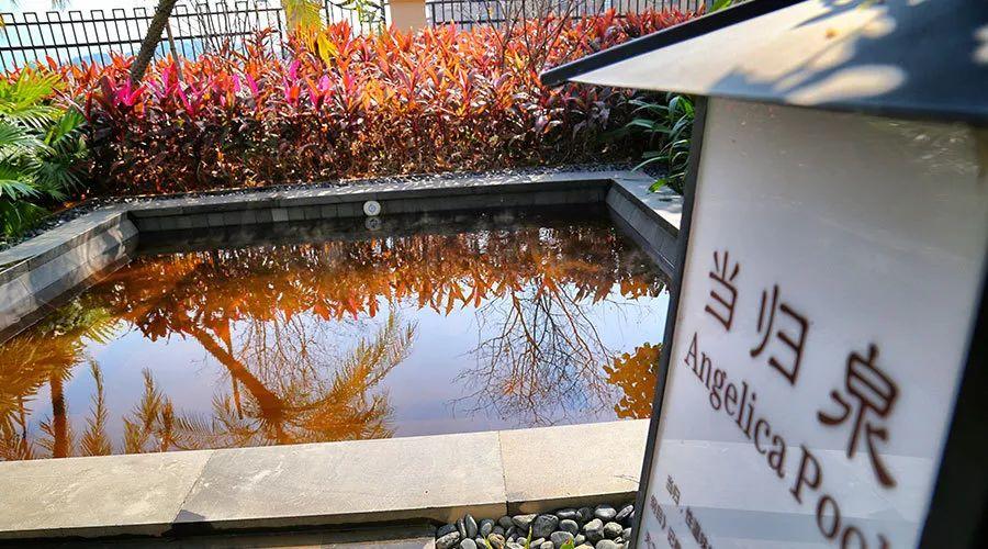 20200722230834293542