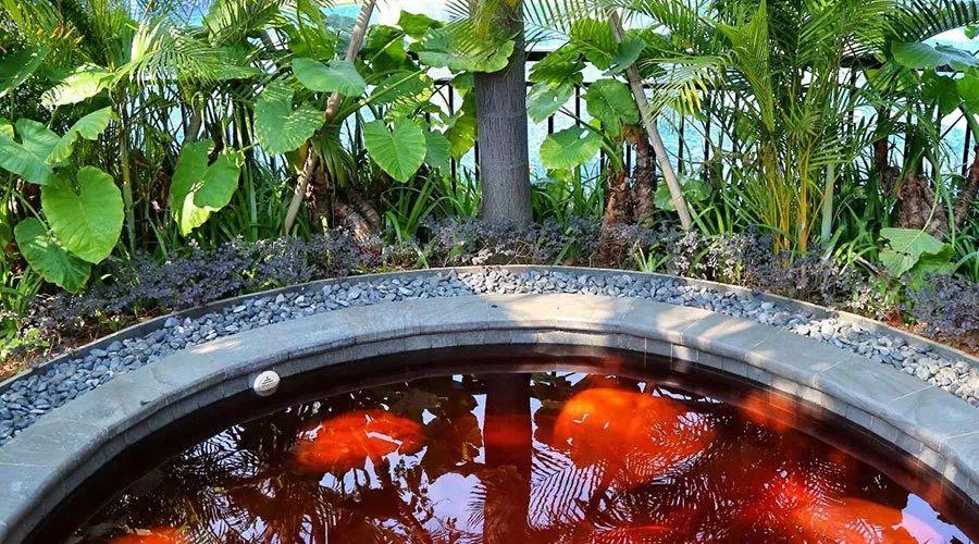 20200722230835091741