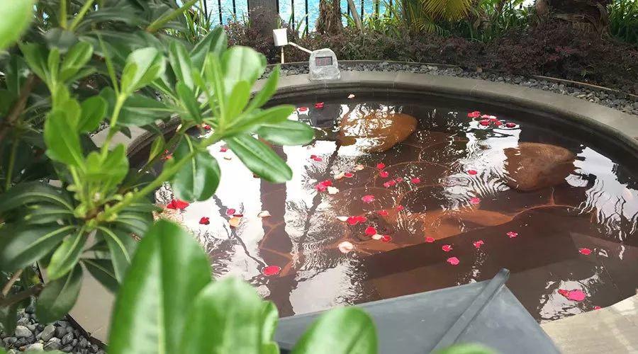 20200722230835570008