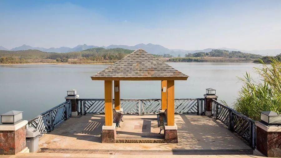 20200722230841126852