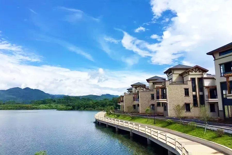 20200722230841607989