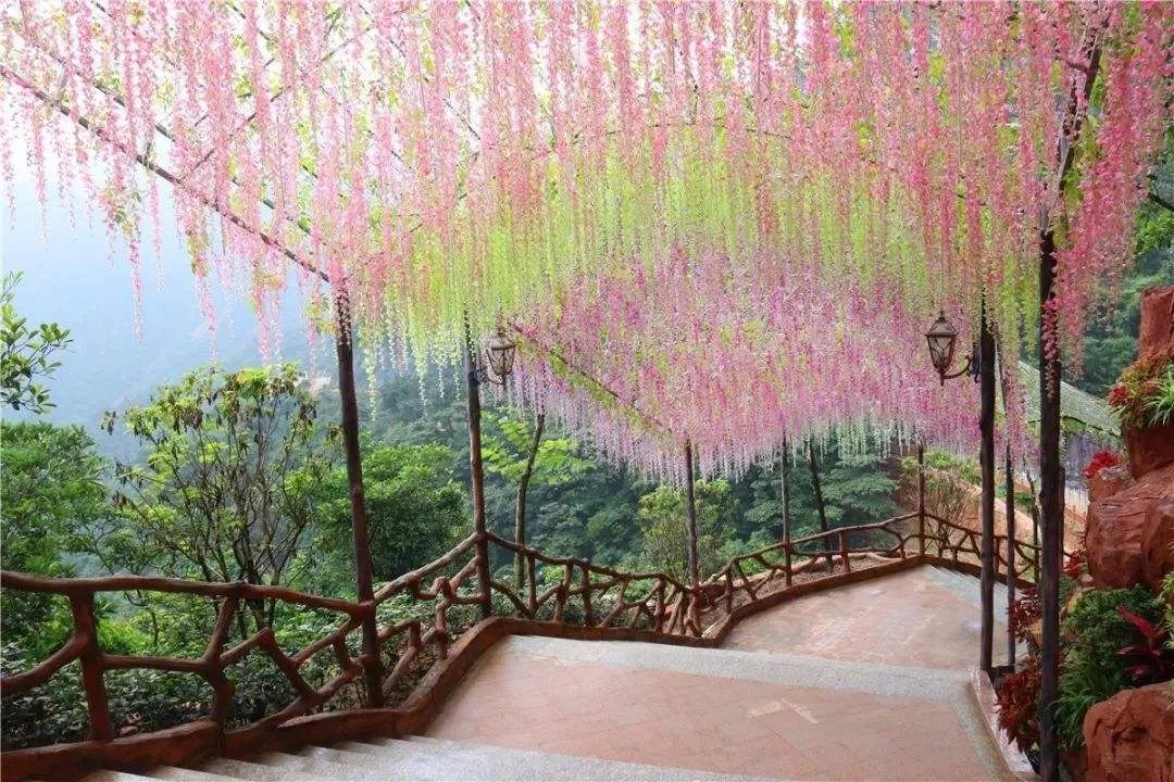 20200722234855565591