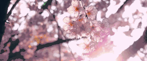 20200722235659855866