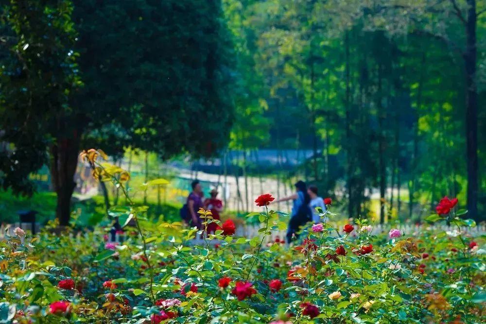 20200722235712027866