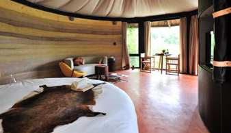 20200723161138532864